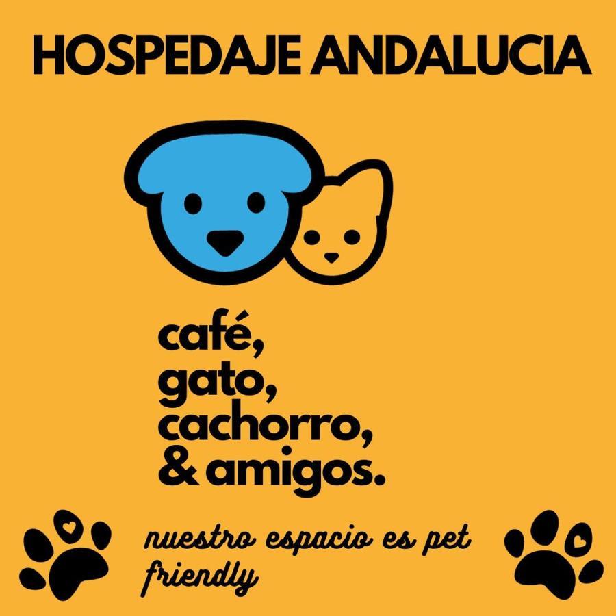 Хостел Casa Andalucia Флорианополис Экстерьер фото